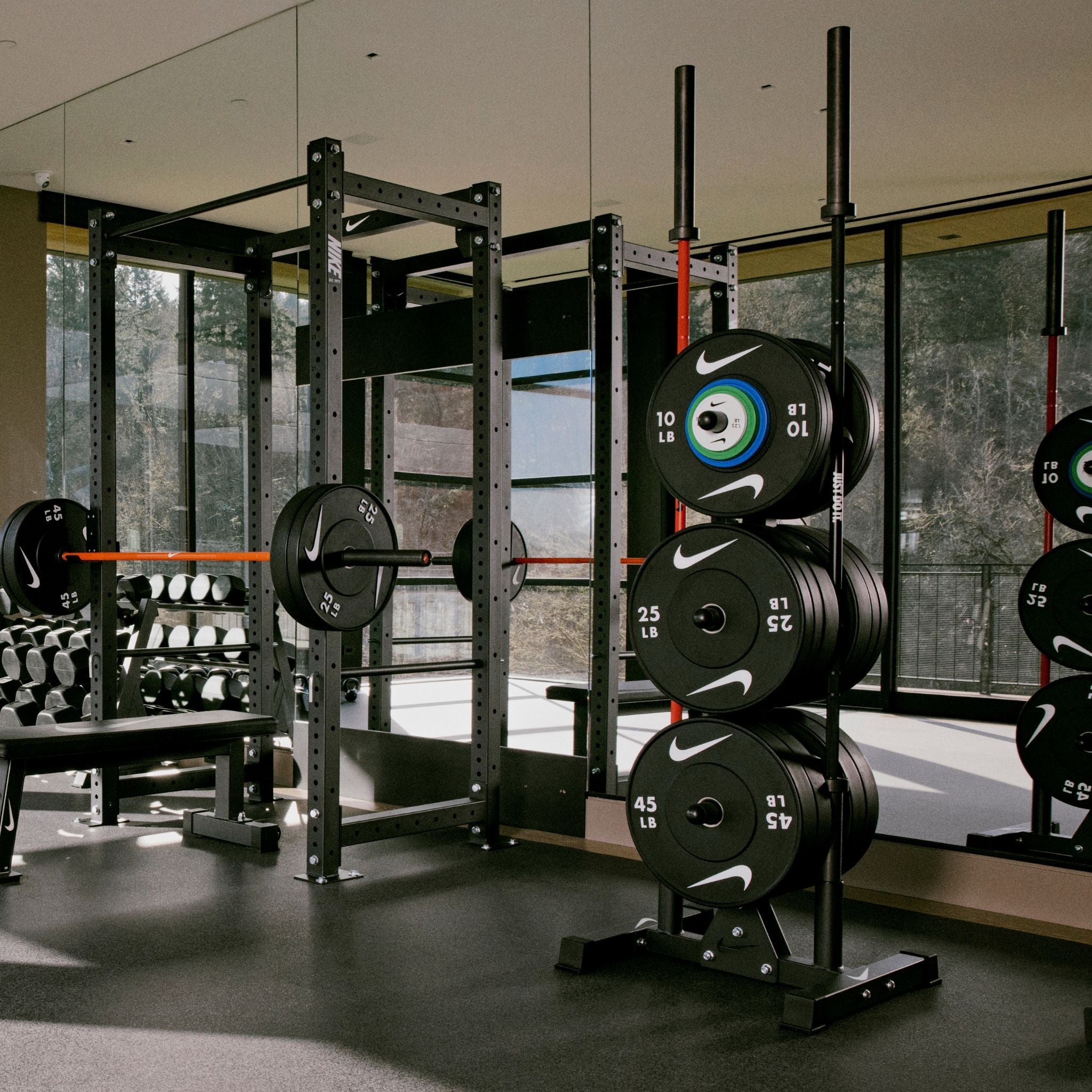 Alpha Home Gym Setup